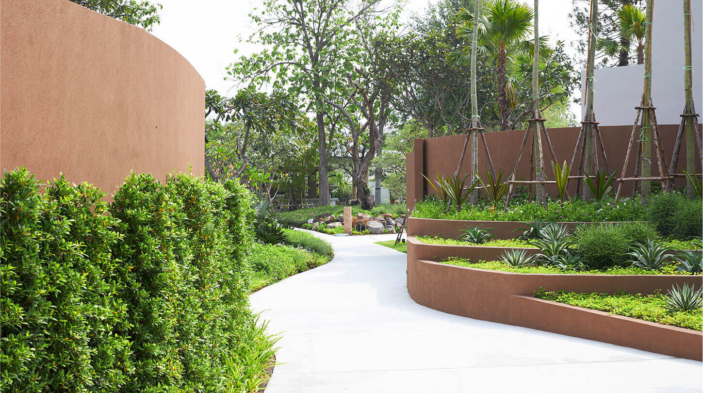 Forested space